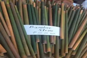 Use of bamboo straws instead of plastic