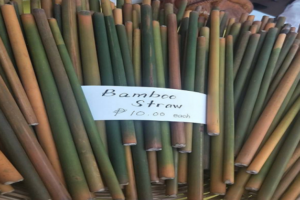 Use of bamboo straws instead of plastic