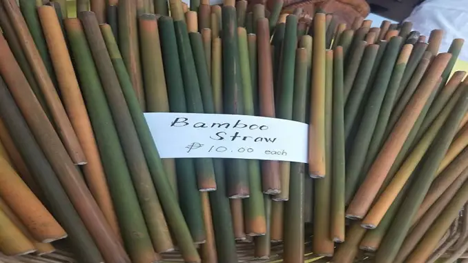 Bamboo Straw