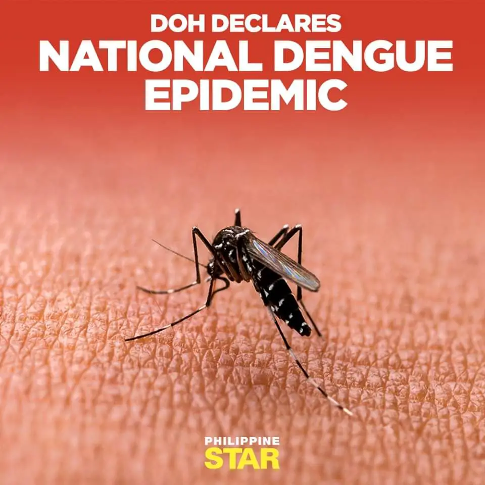 Declaration of a National Dengue Alert by the DOH