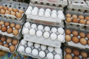 Are Eggs Good For You?